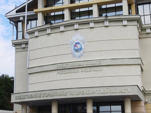 Председатель СК РФ запросил доклад о нападении бродячих собак на жителей Оренбуржья
