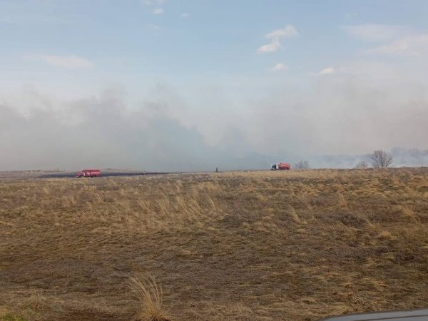 В Кувандыкском муниципальном округе произошел крупный степной пожар
