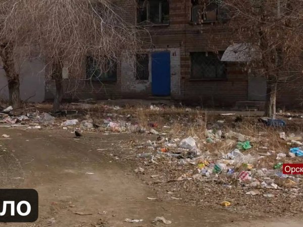 Мусор в одном из дворов Орска убрали лишь после вмешательства прокуратуры