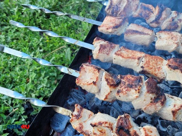 Как приготовить шашлыки и не нарваться на штраф