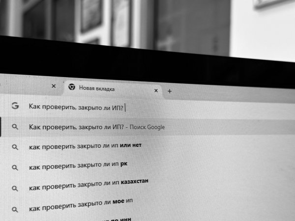 Как с помощью сайта Химера проверить, закрыто ли ИП?