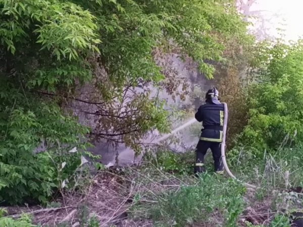 В районе «тропы здоровья» в Оренбурге вспыхнул пожар