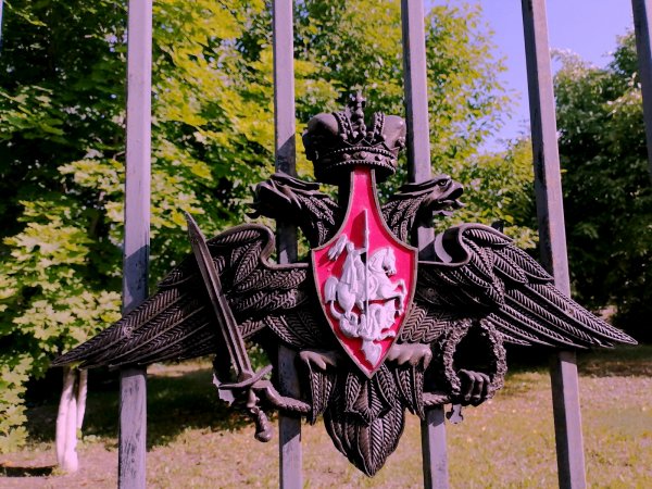 «Оренбургский крестоповал»: орлы Минобороны восстановлены, вандалы не пойманы