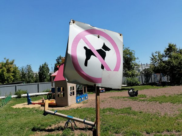Предприниматель, занимавшийся отловом собак в Бузулуке, обвиняется в мошенничестве