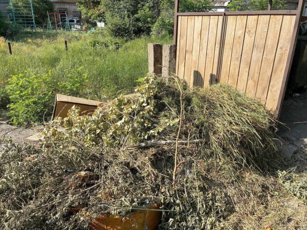В центре Оренбурга после выкоса вырастают горы сухой травы. А если пожар?
