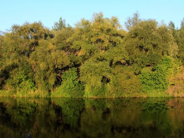 В праздничные и выходные дни в Оренбурге будет очень жарко, но возможны грозы
