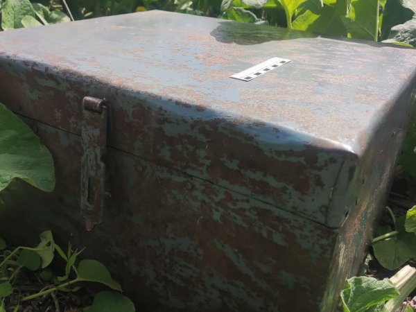В Оренбургской области подростки украли у пенсионера сундук с деньгами