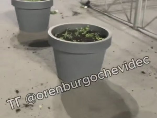 В Оренбурге неизвестные выдернули все цветы из вазонов возле ТЦ «Восход»