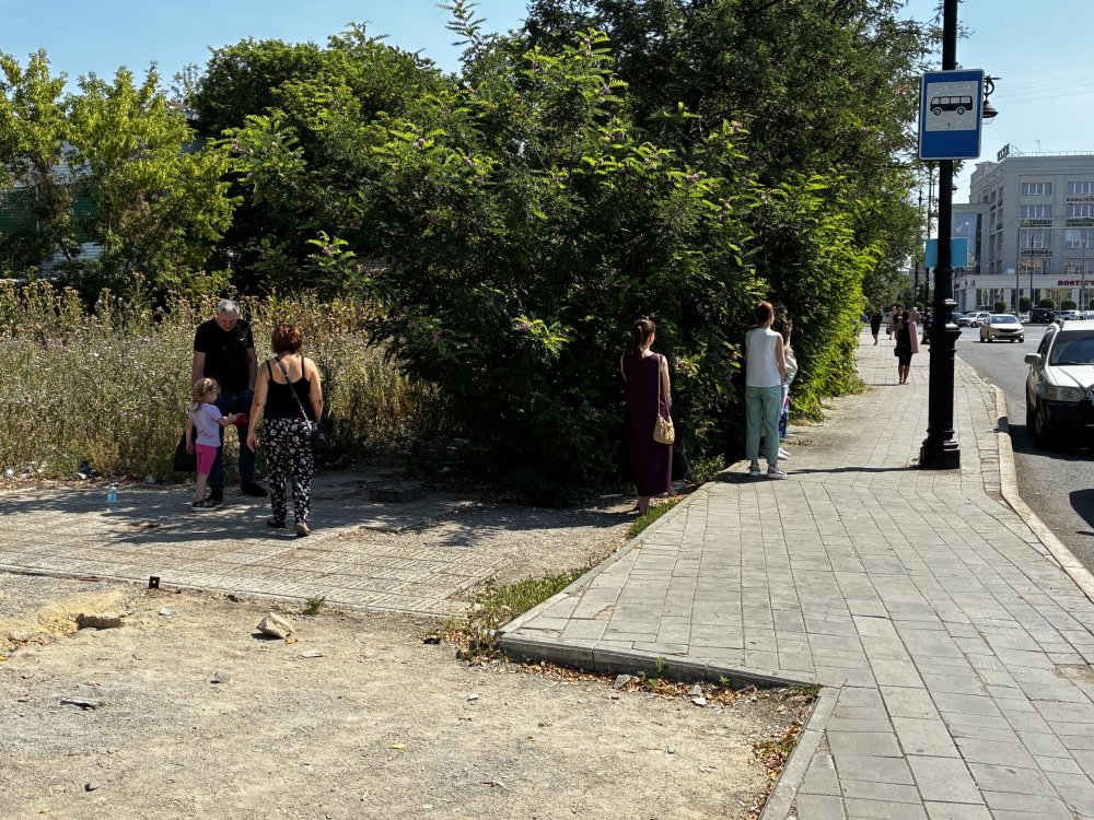 В центре Оренбурга, на остановке «Театр музкомедии», люди спасаются от солнца в зарослях карагача. Фото 1743.ru