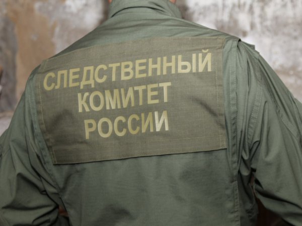 Избил до смерти: 17-летнего жителя Первомайского района обвиняют в убийстве своего знакомого
