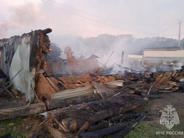 Новые подробности пожара в Илекском районе, на котором погибли 5 человек