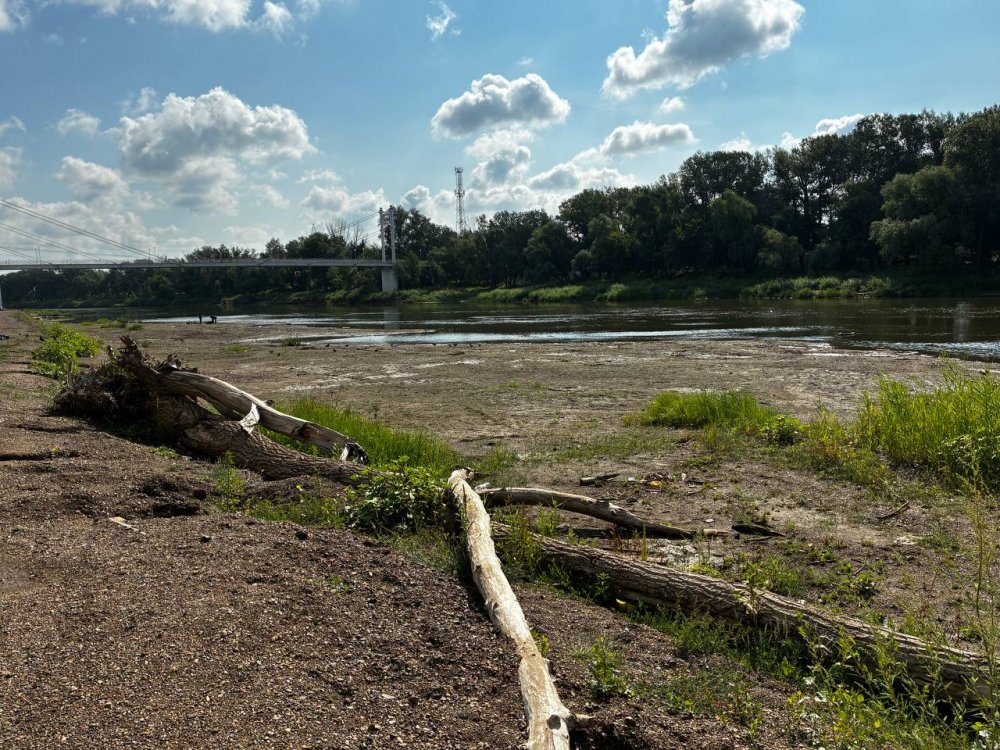 Вода отступила от берега Урала. Фото 1743.ru