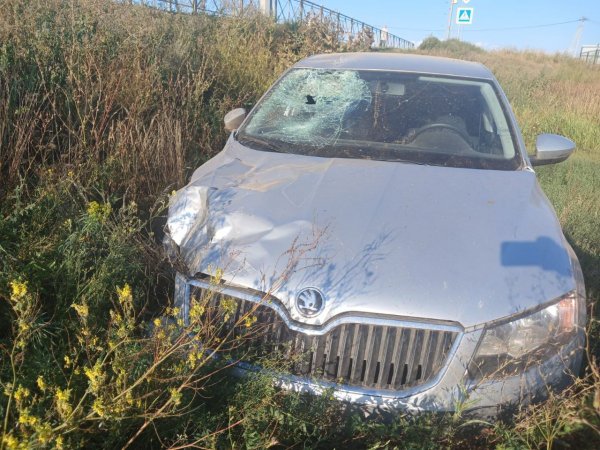 На трассе Оренбург — Беляевка 14-летнего подростка на мотоцикле сшибла Skoda