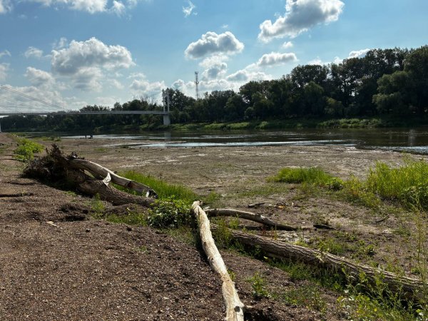 Вода отступила от берега Урала. Фото 1743.ru
