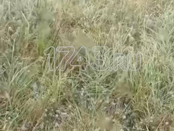 Видео: град, ливень и сильный ветер в степях Оренбургской области