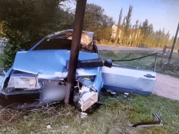 Под Оренбургом 17-летний водитель сбил лошадь и влетел в газопровод