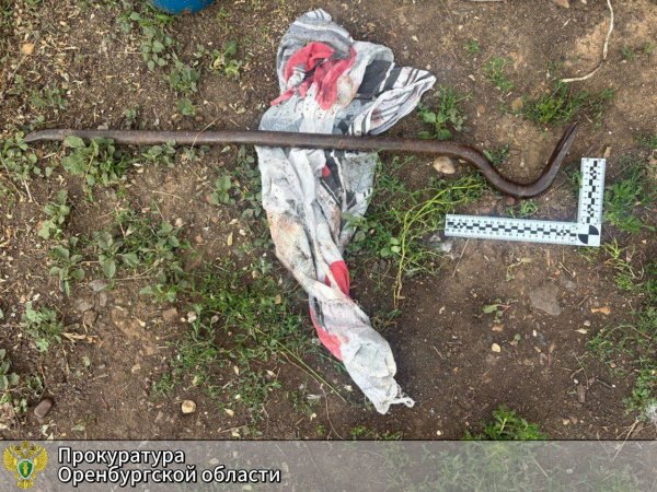 Избила ломом-гвоздодёром: оренбурженку обвиняют в убийстве матери