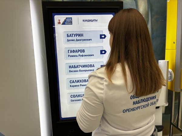 Картинки с 200 избирательных участков — онлайн на одном экране