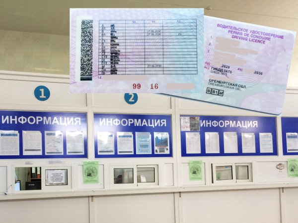Получение водительских прав стало в 2 раза дороже