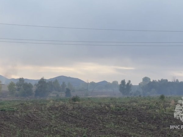 5 700 гектаров уничтожил огонь на востоке Оренбуржья