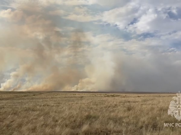 В Оренбуржье разгорелся новый большой пожар