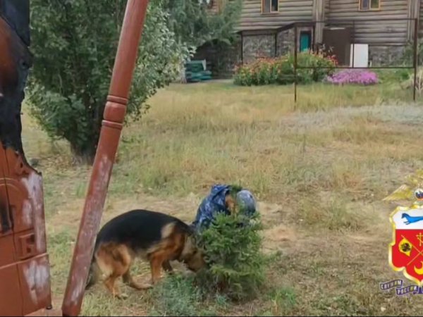 В Оренбургской области женщина подожгла деревянный крест возле храма