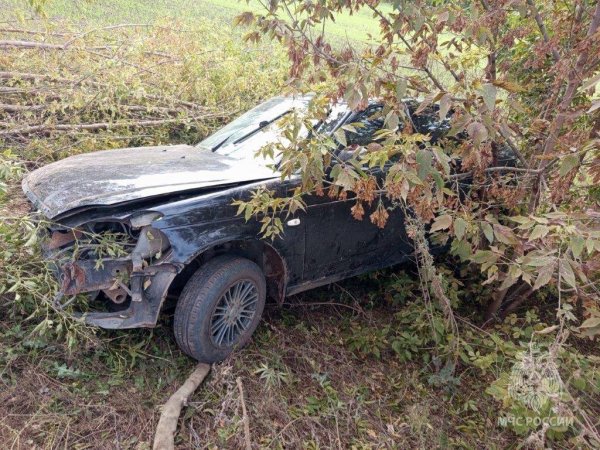1 человек погиб и 2 пострадали: страшная авария произошла в Грачёвском районе