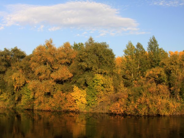 Днем — жара, ночью — заморозки. Какая погода установится в Оренбуржье?