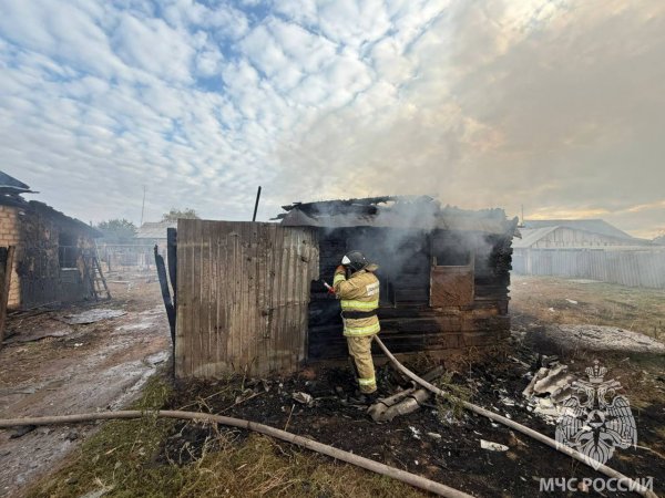 8-летний мальчик с газовым баллончиком устроил пожар: горели постройки и дом