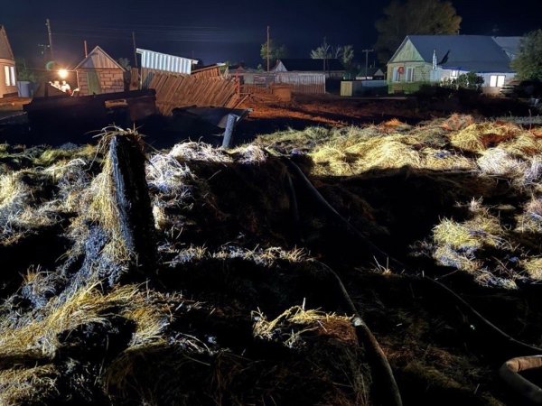 В Адамовском районе на пожаре погибли два ребенка