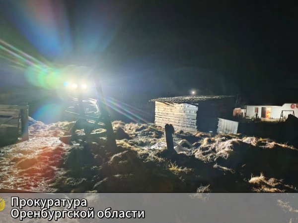 Гибель двух детей не пожаре: прокуратура проводит проверку