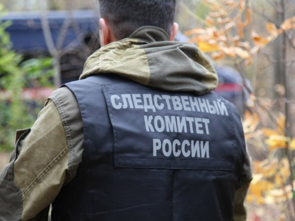 В Оренбуржье задержали жителя Волгоградской области, пытавшегося убить жену