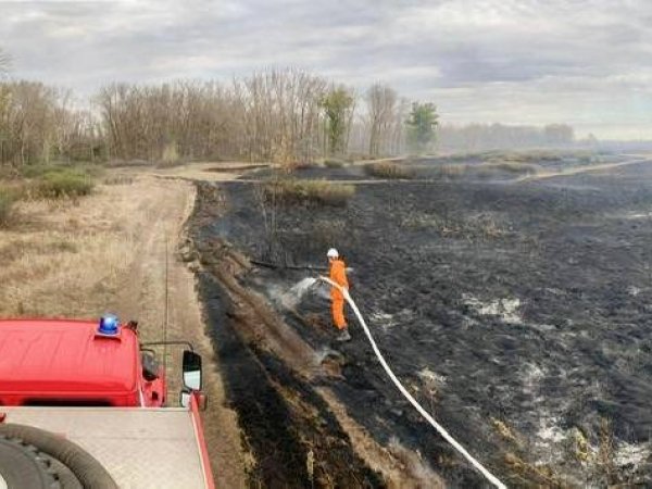 В нескольких метрах от Бузулукского бора горела трава