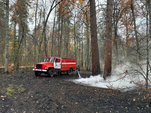 12 часов тушили пожар в Бузулукском бору