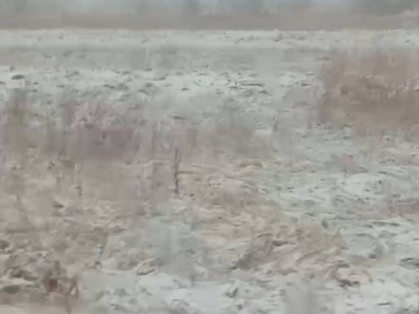 В Оренбуржье на поля лег первый снег: видео