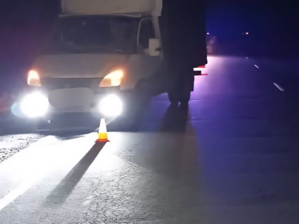На трассе Оренбург — Орск насмерть сбили пешехода