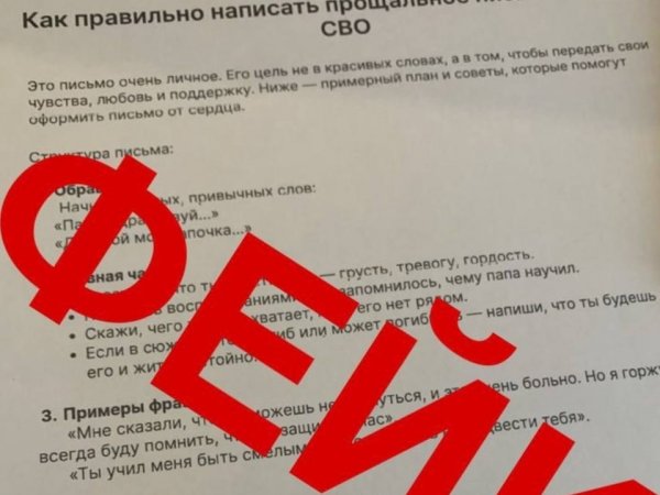 Школьники Оренбуржья пишут прощальные письма отцам на СВО? Официальный комментарий