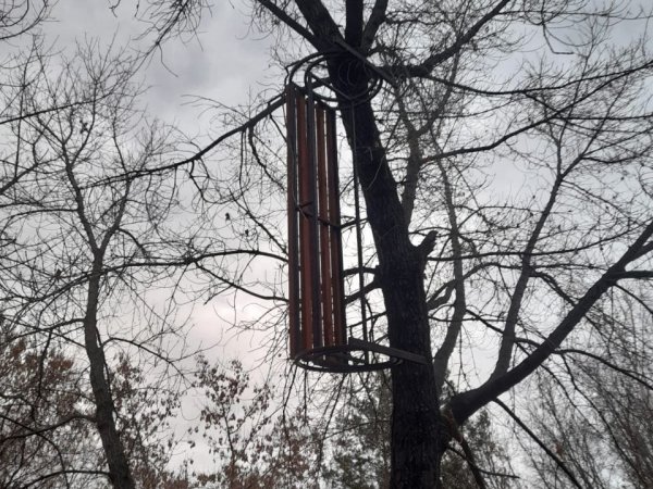Подростки в Саракташе повесили скамейки в парке им. Ленина на деревья и баннеры