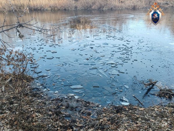 Следователи проводят проверку после гибели 6-летнего ребёнка на водоёме в Оренбуржье