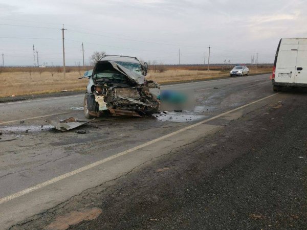 2 человека погибли и 1 пострадал: жуткая авария произошла на трассе Оренбург — Казань