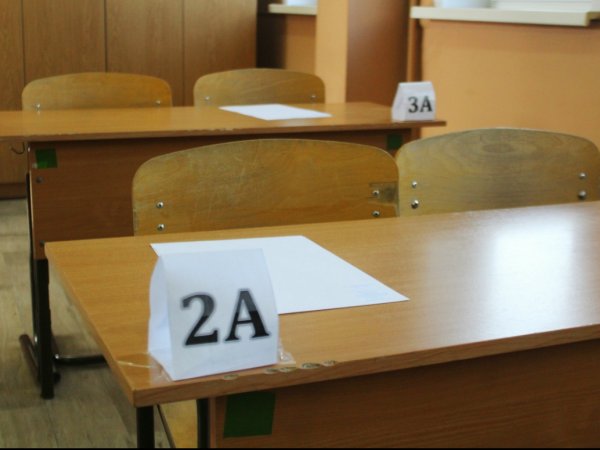 «Свинья тупая» и «ишак»: учителя физики в оренбургской школе обвиняют в оскорблениях учеников