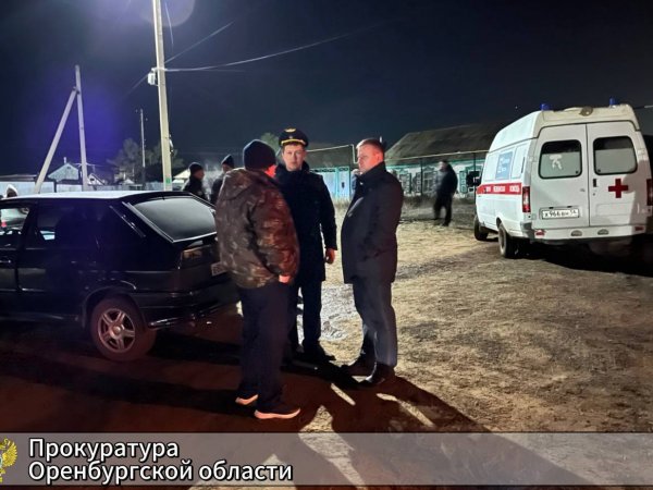 По факту гибели двух детей в Новоорске следователи возбудили уголовное дело