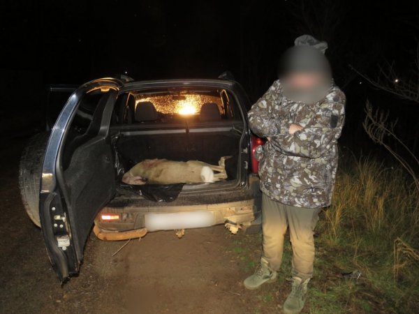 В багажнике машины у жителя Оренбурга инспекторы ДПС обнаружили труп