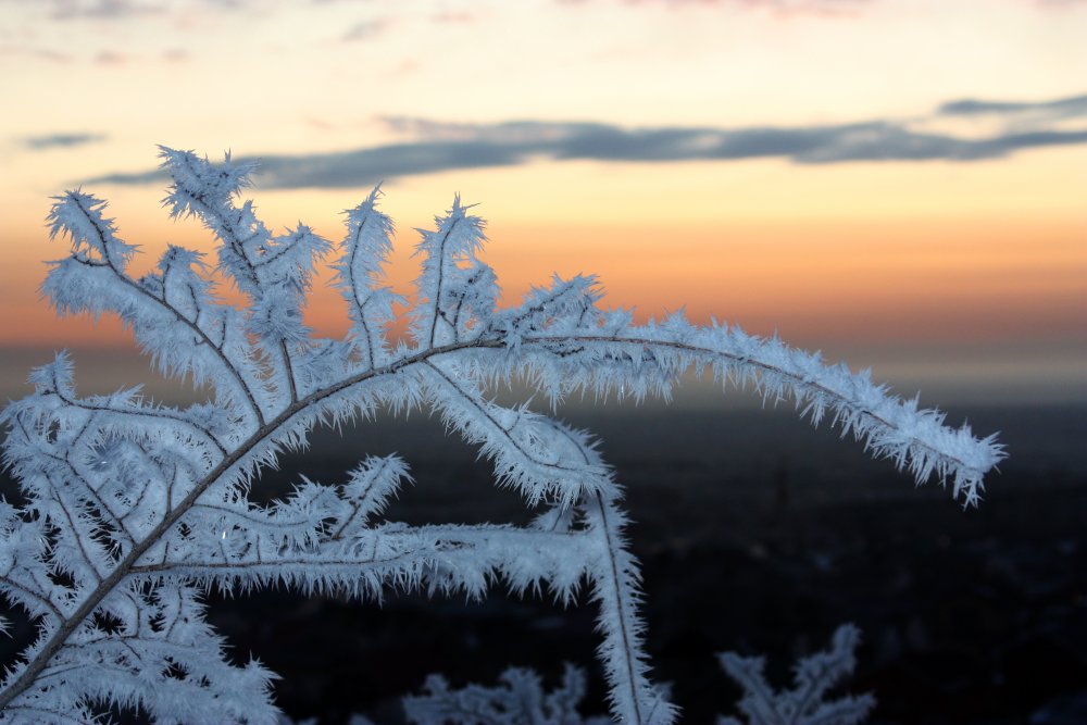 Наступление зимних морозов в Оренбуржье откладывается. Фото 1743.ru