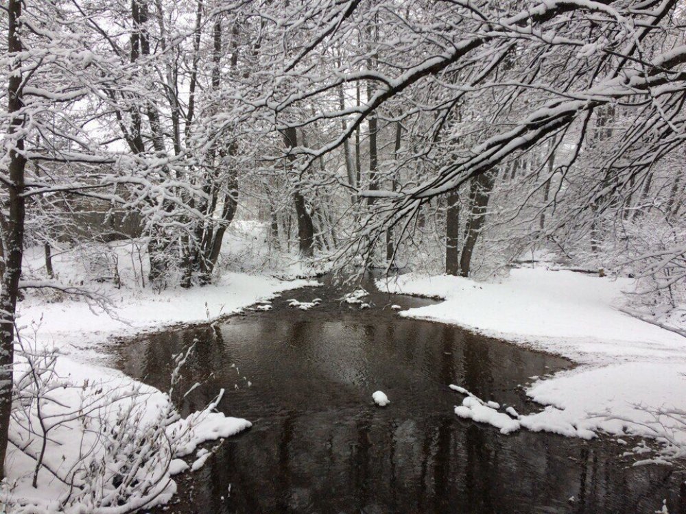 Водоемы еще не покрылись льдом. Фото 1743.ru Водоемы еще не покрылись льдом. Фото 1743.ru