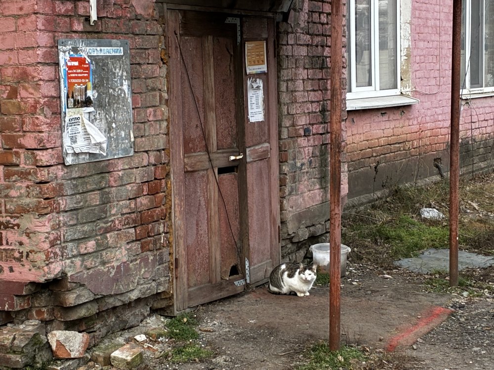 Аварийный дом на проспекте Братьев Коростелевых в Оренбурге. Фото 1743.ru