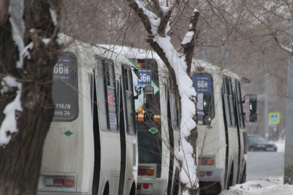 Оренбургские автобусы