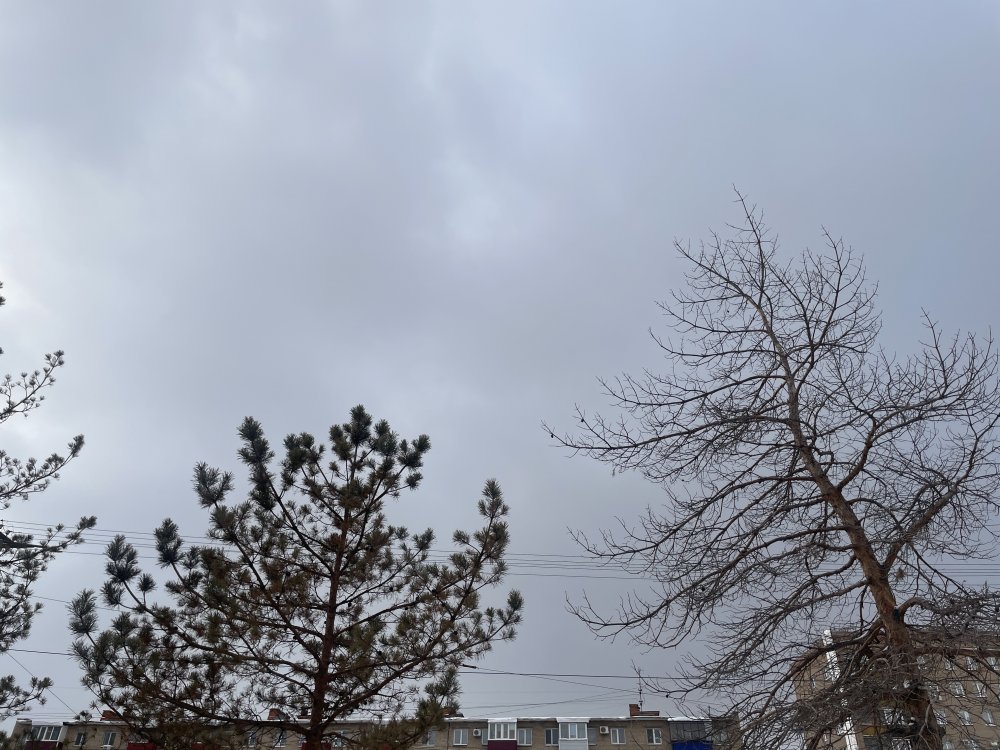 Фото: небо над Оренбуржьем; фото: 1743.ru