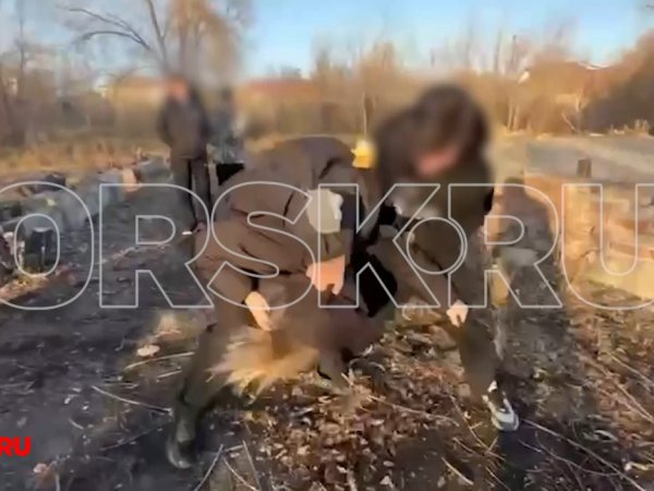 «Нет! Нет! Пожалуйста!»: в Орске жестоко избили девочку и сняли это на видео