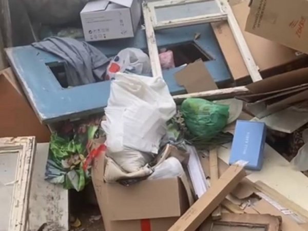 Солнцев заявил, что количество жалоб на вывоз мусора сократилось